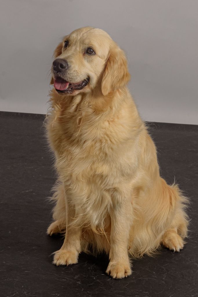 United color lagherta Des Grenouillettes Du Vexin